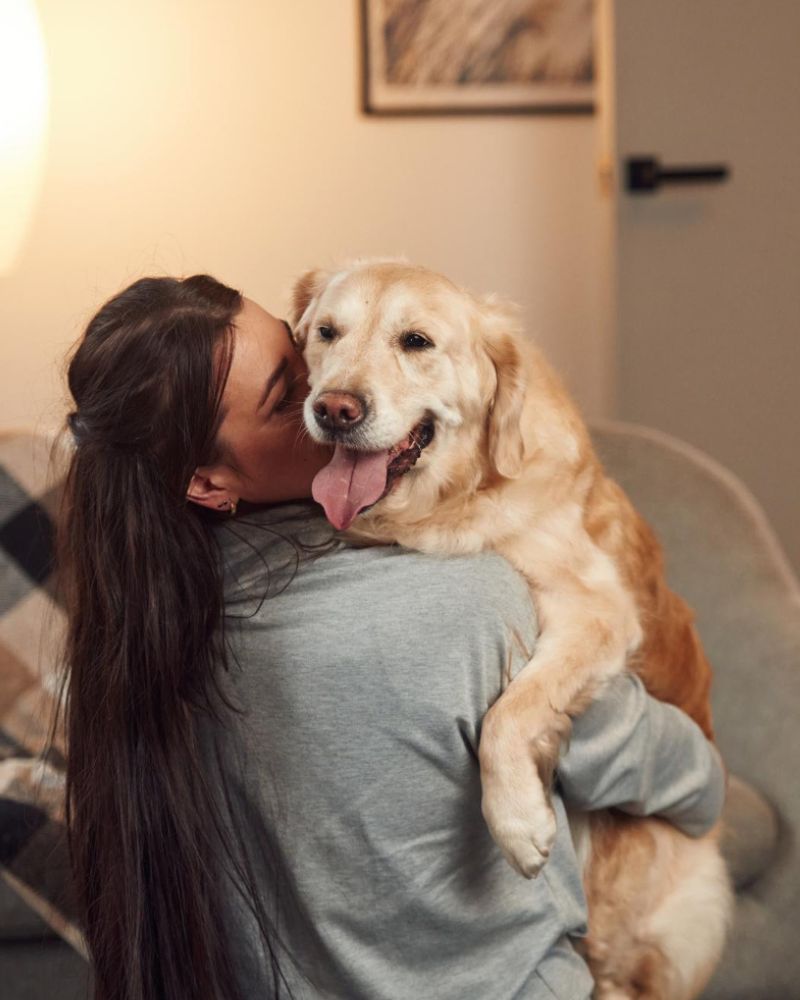 A vet holding a dog in a clinic settings